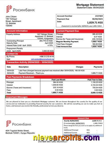 Kyrgyzstan Rosinbank mortgage statement Word and PDF template